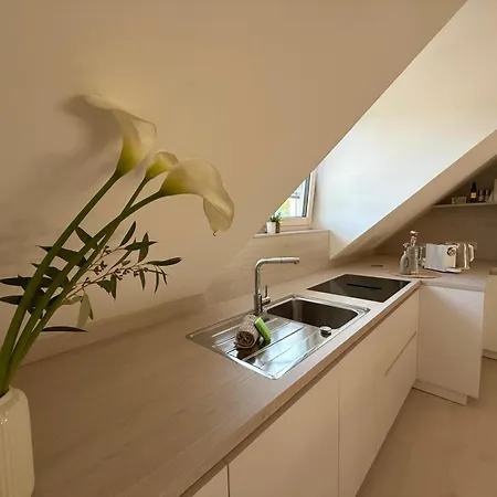 アパート Donau-loft Private Parking Near And Highway